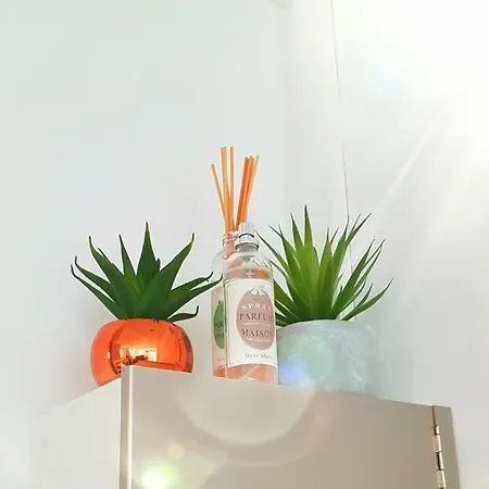 Bright And Warm Beachfront Apartment