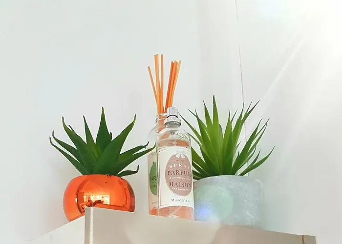 Bright And Warm Beachfront Lejlighed